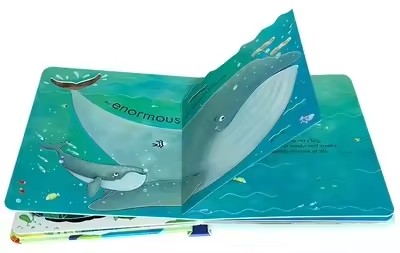 Usborne Denizin İçine Bakın Ço - Kids Nature Education incelemesi ve fiyatı