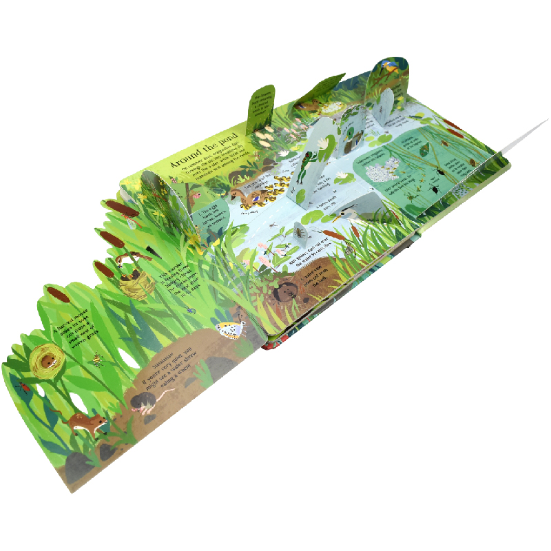 İngilizce Montessori 3D Usborn - Kids Nature Education incelemesi ve fiyatı
